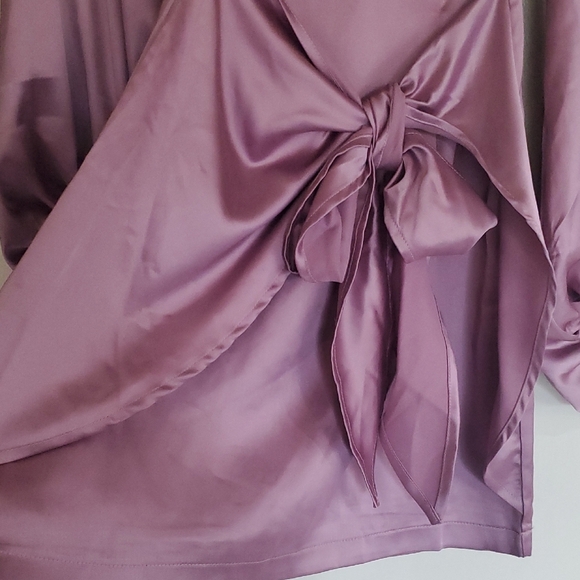 Petal & Pup Satin Lilac Mini Dress - Picture 4 of 6